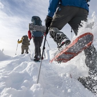 Snowshoes